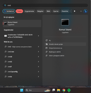 Programsız Windows 11 Etkinleştirme
